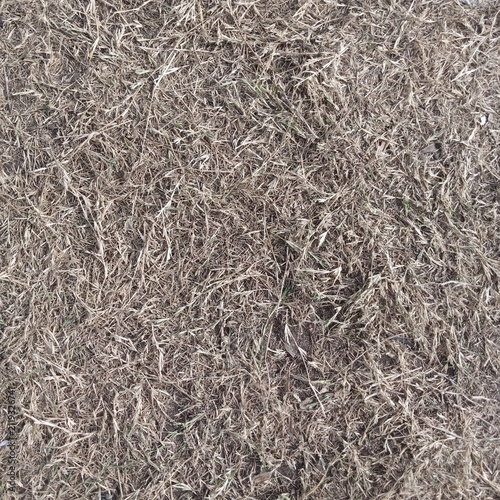 Completely dried out dead brown grass ground texture top down view showing severe heat damage and total lack of moisture