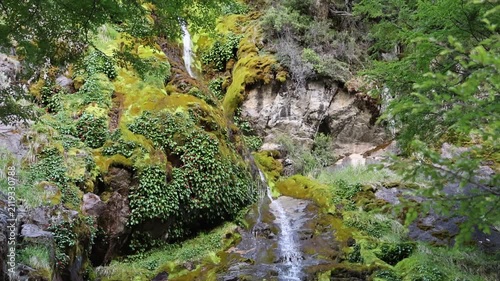 A slow-motion clip showing a small, quite narrow cascade spreading over a large, moss-covered rock; the clip starts at the top and moves downwards, following the water's path.