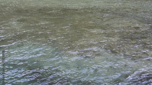 Close-up shot showing the clear, shallow waters of a river in Argentine Patagonia.
