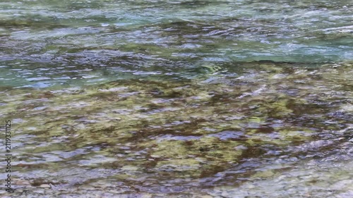The transparent waters of a river with a gentle current; the river is shallow, and yellow and greenish hues are visible on the bottom.