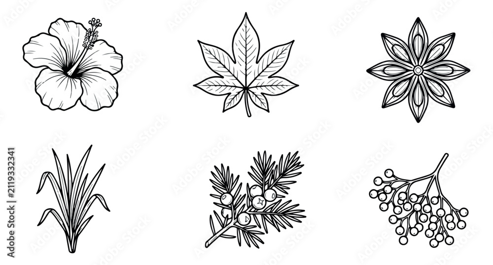 Obraz premium Hand drawn botanical line art collection, 6 floral and leaf vector icons, black and white organic plant sketches for branding and packaging