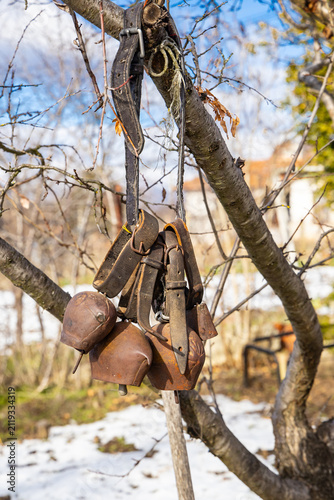 Old rusted bells for Surva Festival costumes.