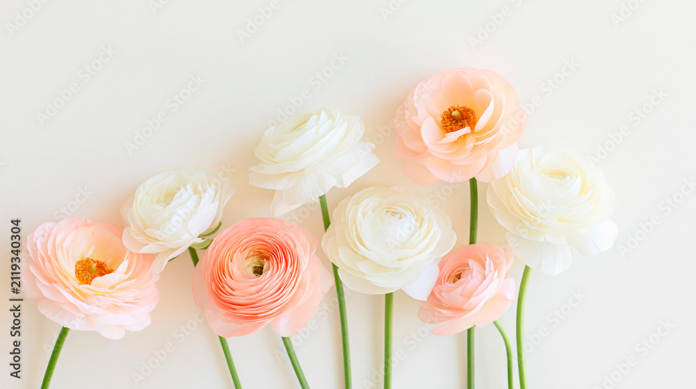 Fototapeta premium Sophisticated botanical photography of delicate blush pink ranunculus with long stems