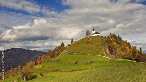 St.Jacob hilltop church sunlit under the midday sky in Brezovica pri Medvodah village, cows quietly grazing in the pasture below. Medvode-Slovenia-188