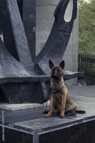 Belgian Malinois sitting beneath a monumental anchor sculpture in an urban setting. The composition symbolizes confidence, discipline, and exploration.