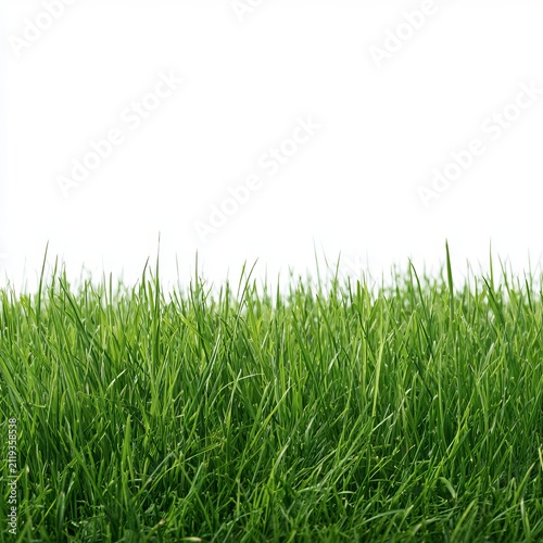 Vibrant green grass sits against a white background for banner designs.
