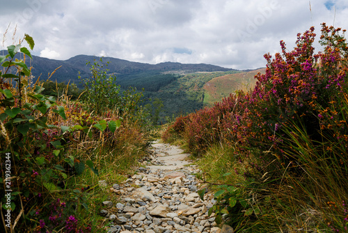 Foto Mountian trail between Llyn Crafnant and Llyn Geirionydd Gwydir Forest Betws Y C