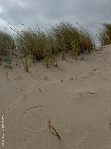 Quadro su tela Scratch circles, wind patterns in sand, natural phenomenon, coastal dunes, dune
