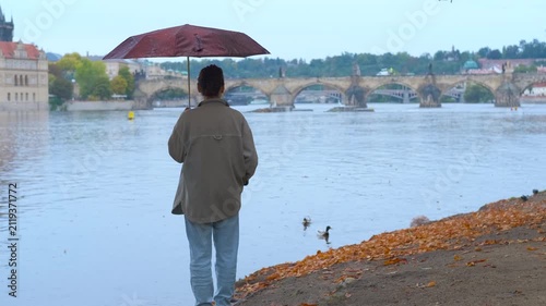 Tourist walking along river in prague with umbrella. Tourist holding umbrella walking along vltava river admiring charles bridge in prague with ducks swimming in the water and autumn leaves