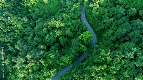 Aerial Tropical Forest Road for Sustainability Report and Green Infrastructure , Forest Transportation Corridor Supporting Climate Resilience and ESG Investment