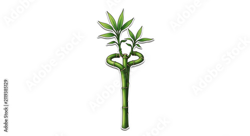 Illustration of a bamboo plant with heartshaped leaves and curved stem isolated on clear background
