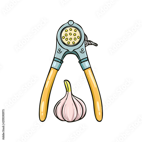 Kitchen utensil for mincing garlic with a fresh garlic bulb illustration