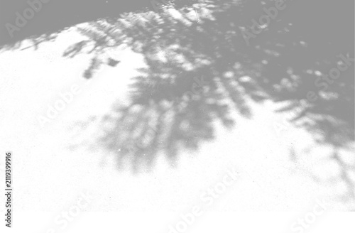 Shadow overlay effects of abstract natural tree leaves shadow on wall background,Summer sunlight and shadow overlay effect,branches of a tree shadow,autumn leaves shadow,plants shadow