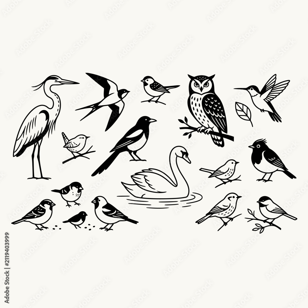 Fototapeta premium Collection of various bird silhouettes in black ink style.