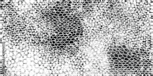 Photography Snakeskin pattern imitation