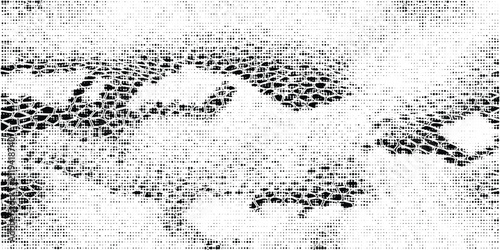 Bild auf Leinwand Snakeskin pattern imitation