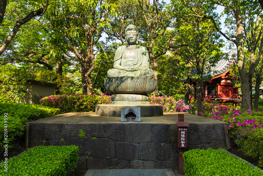 1000_F_2119419392_suIwlMI8CNs2