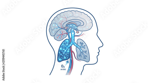 Medical illustration of Hypoxia affecting the human brain and lungs with oxygen deprivation and respiratory issues