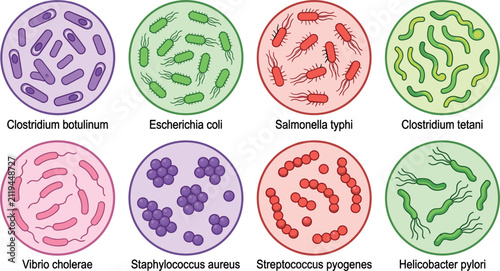 Konstfotografi Vector illustration set of pathogenic bacteria types under microscope inside circles including Escherichia coli Salmonella Staphylococcus Streptococcus and Helicobacter pylori