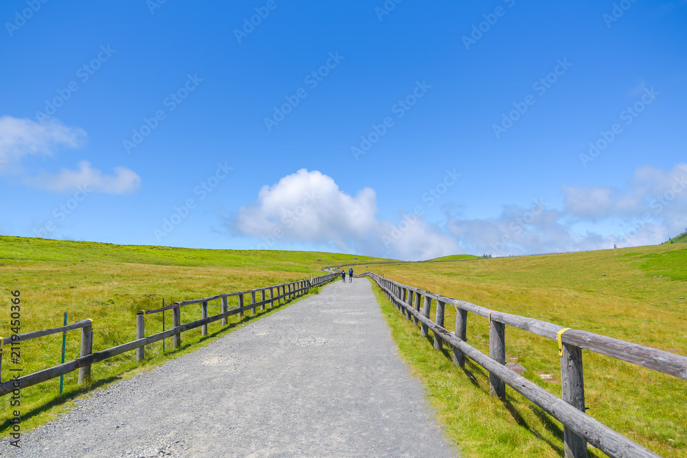 Fototapeta premium 夏の美ヶ原高原の遊歩道と広大な牧場の景色(長野県)