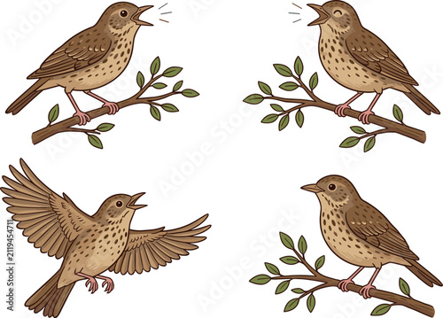 Bild auf Leinwand Singing nightingale bird vector set featuring detailed brown skylarks perched on green tree branches and one small sparrow flying with open wings