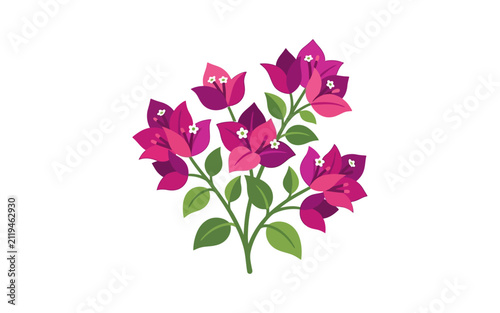 Bougainvillea Flower Branch Vector Illustration