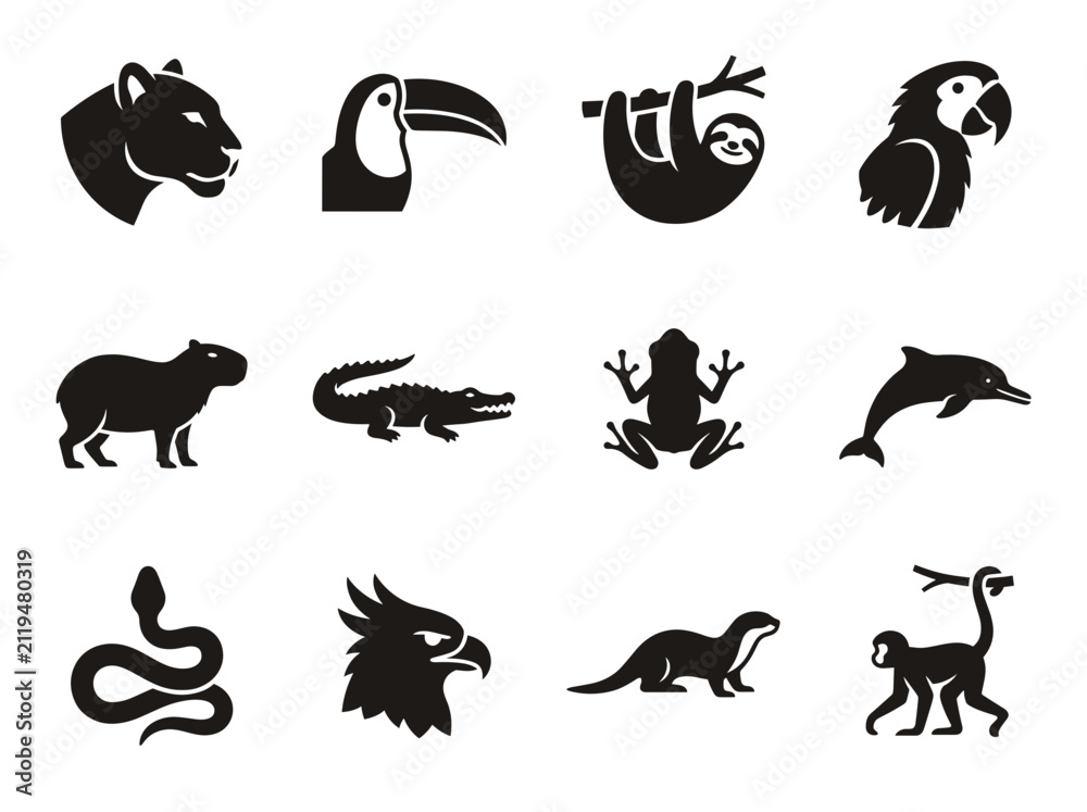 Fototapeta premium vector Collection of Amazon Rainforest Animals Silhouettes Including Jaguar Toucan Sloth Macaw Capybara Crocodile Frog Dolphin Snake Eagle Otter Monkey on transparent background