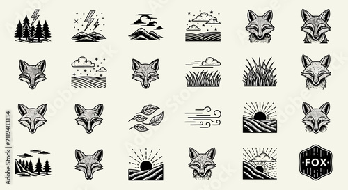 Set of various black and white nature and animal illustrations