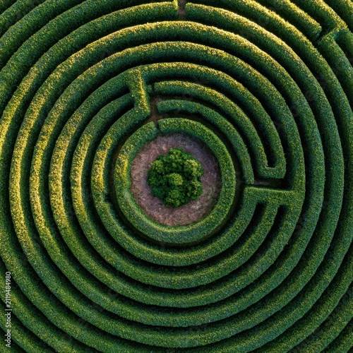 Aerial top-down view of a circular hedge maze with a central bush