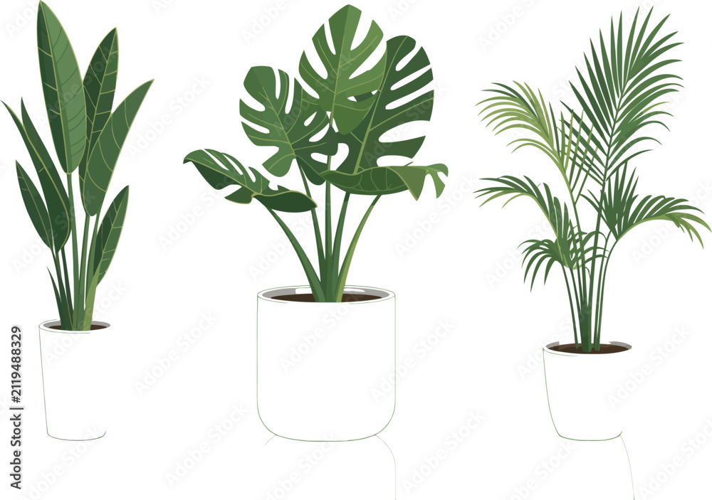 Fototapeta premium Set of Tropical Indoor Houseplants in White Pots Vector Illustration with Botanical Foliage Isolated on White Background