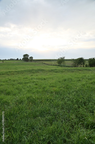 Field