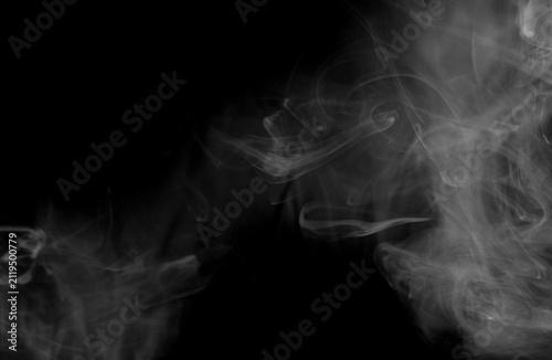 Obraz na plátně Intricate patterns of white smoke intertwine and spread across the dark canvas, forming complex, organic structures that suggest growth, diffusion, and the beautiful complexity of natural phenomena
