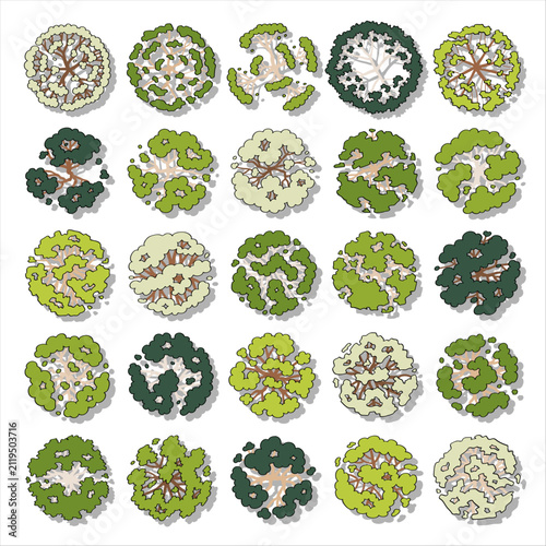 Top View Tree Illustration for Landscape Design