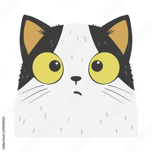 Fotografie Illustration of a Surprised Cat Face