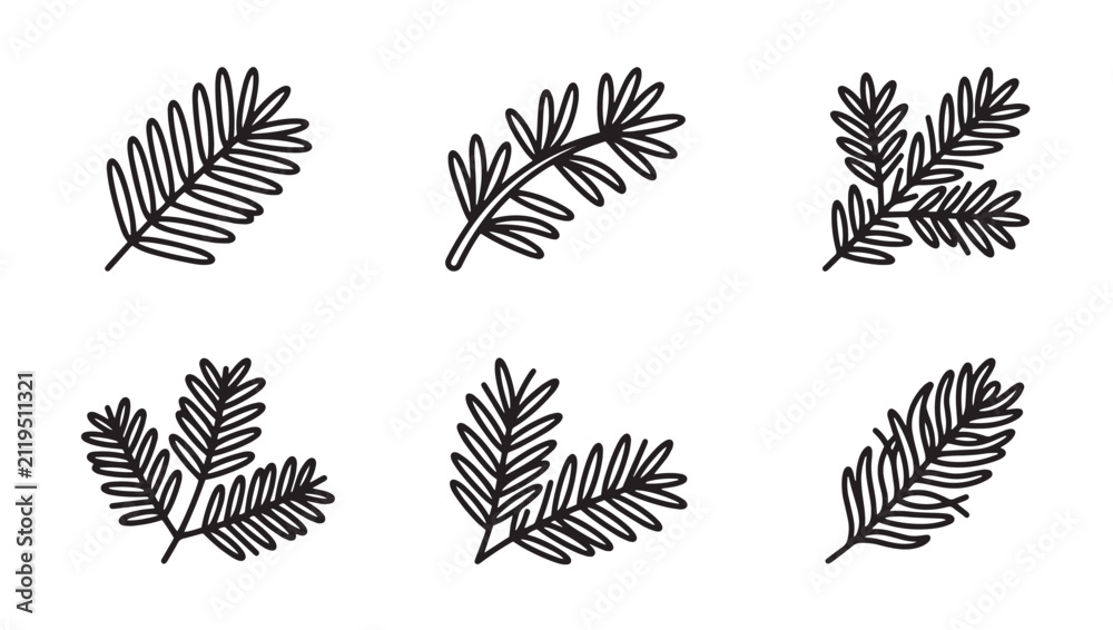 Fototapeta premium Set of hand drawn pine and fir tree branches sketch with botanical illustration monochrome evergreen isolated background ornament decoration detailed minimalist woodland christmas textured
