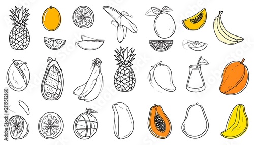 Colorful botanical and fruit vector illustrations.