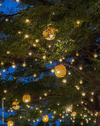 golden christmas lights.