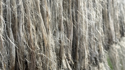 Dry raw natural fibers creating a textured wall in soft light