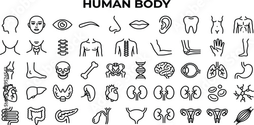 Human Body Line Editable Icons set. Contain icons related to human body, anatomy, organ, body parts, and more. 