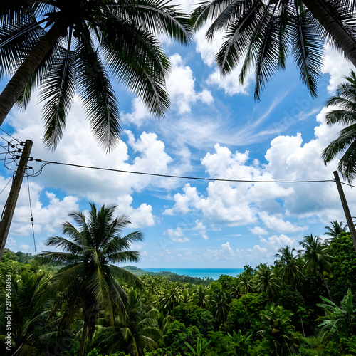Palm trees frame a tropical landscape with utility lines stretching across a bright blue sky filled with white clouds.