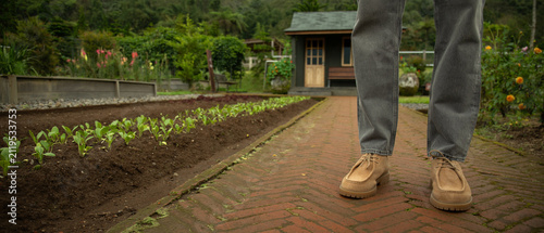 Foto Person standing on a brick path beside rows of young plants