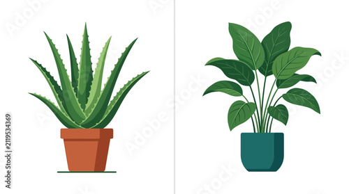 Flat vector illustration of generic potted indoor green plants