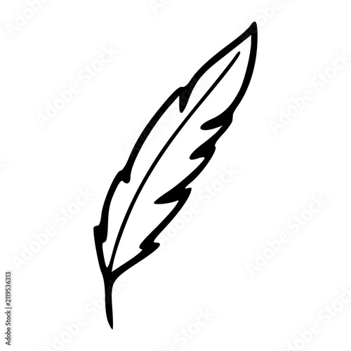 minimalist bird feather line art drawing for bohemian and freedom concept