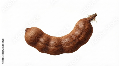 Fresh Tamarind Pod - Brown Curved Seed Pod with Textured Shell on White Background
