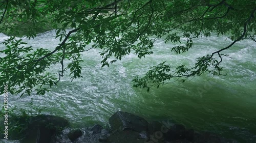 Rushing river with rocks and tree branches