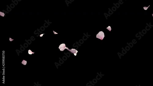 Soft Pink Sakura Flowers Dropping Transparent Overlay