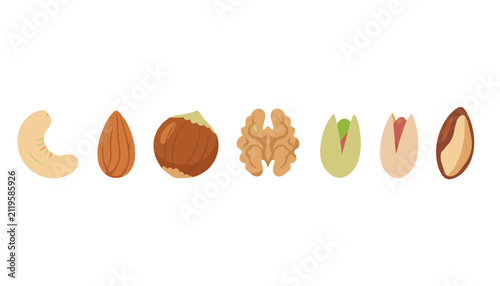 Symmetrical row of seven popular edible nuts including a cashew, almond, hazelnut, walnut, pistachios, and Brazil nut.