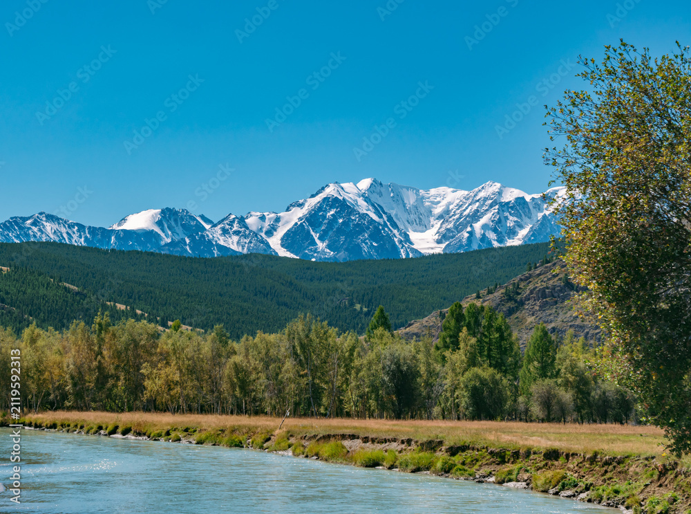 Fototapeta premium Majestic Altai mountains with snow peaks overlook a winding river and green forest under a clear blue summer sky