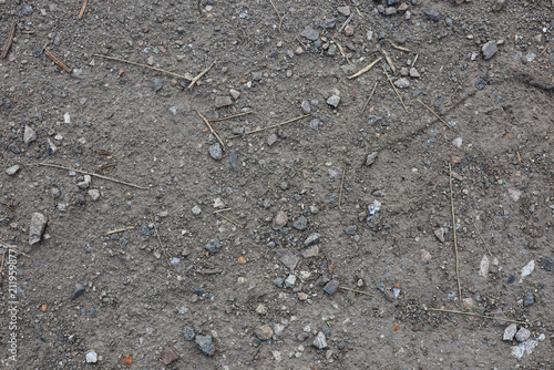 Detailed close-up of gray-brown soil, featuring a natural earthy surface that creates a versatile textured background with copy space