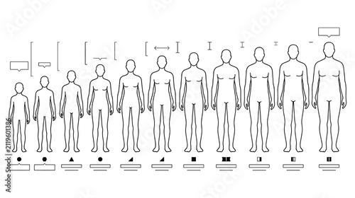 Bild auf Leinwand Set of human growth stages from childhood to adulthood line vector